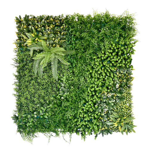 Premium Vertical Garden (Green Wall) beauty secret jia110