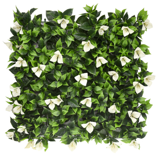 Premium Vertical Garden (Green Wall) bougainvillea white jia351