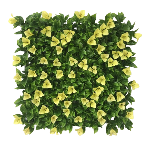 Premium Vertical Garden (Green Wall) bougainvillea yellow jia378