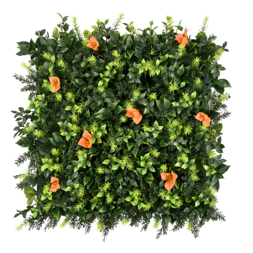 Premium Vertical Garden (Green Wall) bouquet jif078