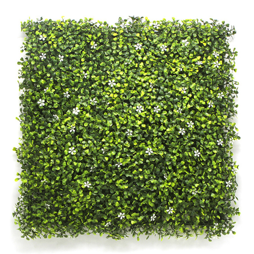 Premium Vertical Garden (Green Wall) boxwood with jasmine jia002