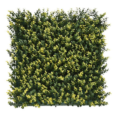 Premium Vertical Garden (Green Wall) buxus jia003