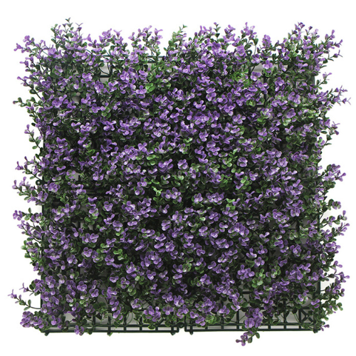 Premium Vertical Garden (Green Wall) buxus purple jia011
