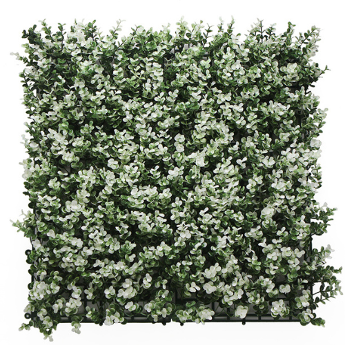 Premium Vertical Garden (Green Wall) buxus white jia014