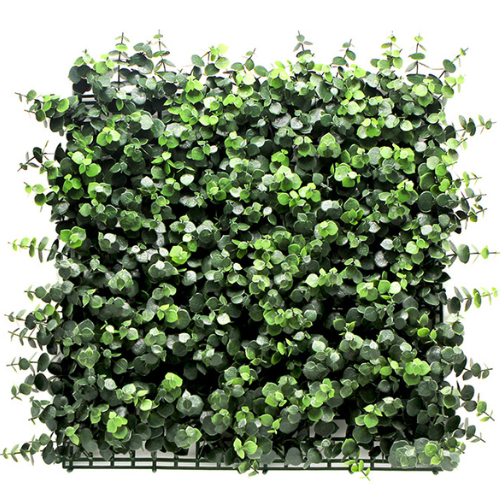 Premium Vertical Garden (Green Wall) eucalyptus jia020