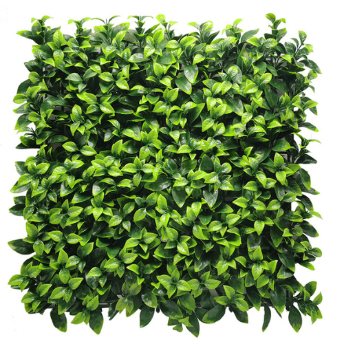 Premium Vertical Garden (Green Wall) gardenia jia138