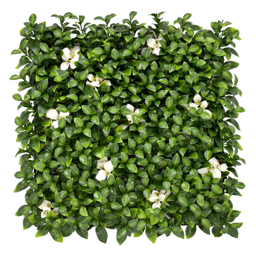 Premium Vertical Garden (Green Wall) gardenia white plus jia291