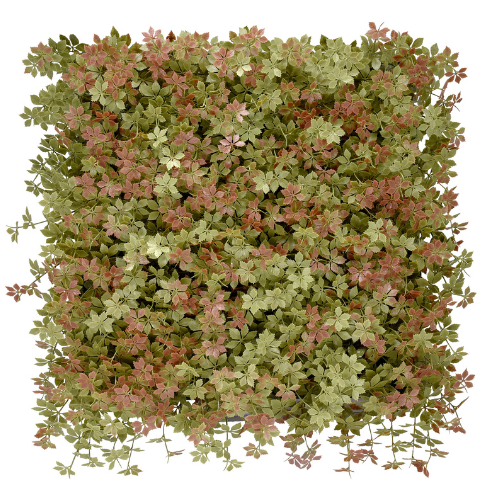 Premium Vertical Garden (Green Wall) gynostema jia096s