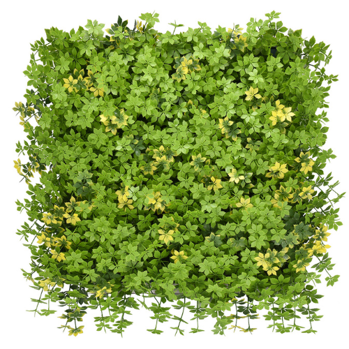 Premium Vertical Garden (Green Wall) gynostema pentaphy jia 292