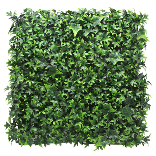 Premium Vertical Garden (Green Wall) ivy jia029