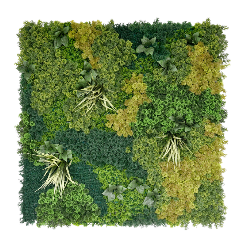 Premium Vertical Garden (Green Wall) moss garden jif080