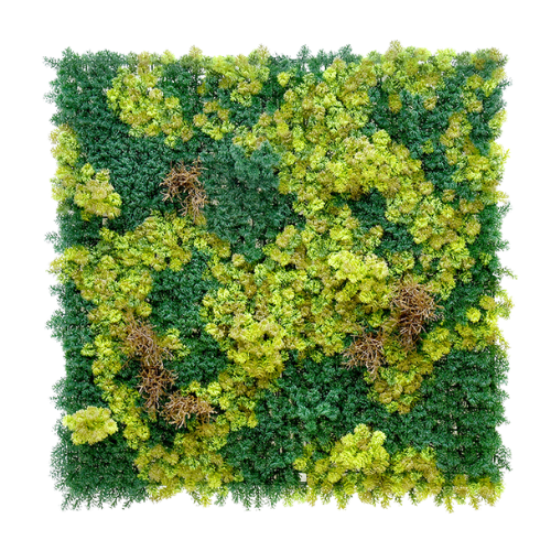 Premium Vertical Garden (Green Wall) moss jif051