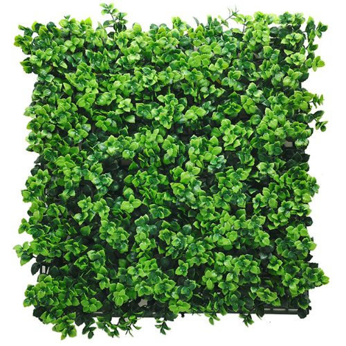 Premium Vertical Garden (Green Wall) pachysandra jia024