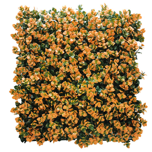 Premium Vertical Garden (Green Wall) pachysandra orange jia026