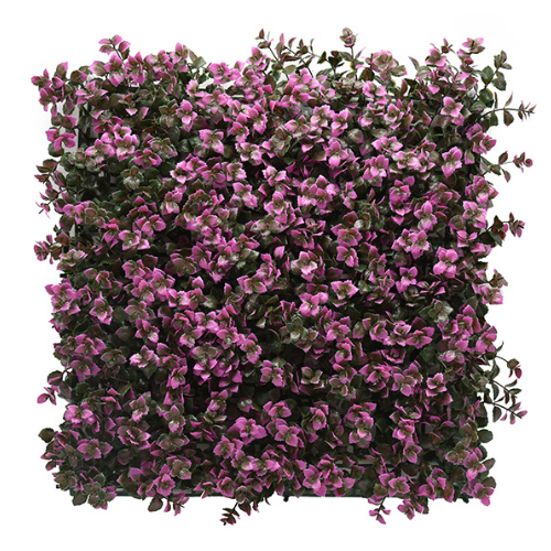 Premium Vertical Garden (Green Wall) pachysandra purple jia186