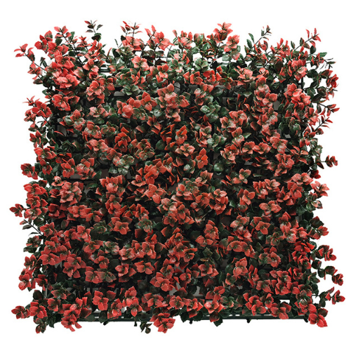 Premium Vertical Garden (Green Wall) pachysandra red jia027