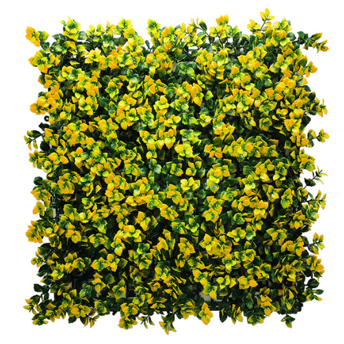 Premium Vertical Garden (Green Wall) pachysandra yellow jia028