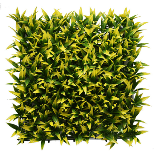 Premium Vertical Garden (Green Wall) podocarpus nagi jia 173