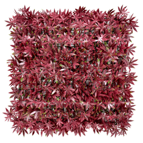 Premium Vertical Garden (Green Wall) red maple jia007m